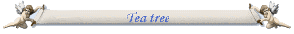 Tea tree